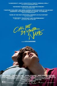 Download Call Me by Your Name (2017) Dual Audio (Hindi-English) Msubs BluRay 480p [470MB] || 720p [1.2GB] || 1080p [2.9GB]