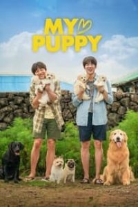 Download My Heart Puppy (2023) Dual Audio (Hindi-Korean) WeB-DL 480p [370MB] || 720p [1GB] || 1080p [2.3GB]