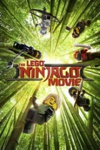 Download The Lego Ninjago Movie (2017) Dual Audio {Hindi-English} BluRay 480p [370MB] || 720p [960MB] || 1080p [2.1GB]