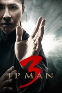 Download Ip Man 3 (2015) Dual Audio {English-Chinese} 720p [900MB]