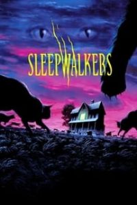 Download Sleepwalkers (1992) Dual Audio (Hindi-English) 480p [350MB] || 720p [900MB] || 1080p [1.5GB]