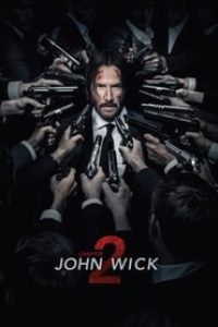 Download John Wick Chapter 2 (2017) Dual Audio {Hindi-English} 480p [400MB] || 720p [1.1GB] || 1080p [2.6GB]