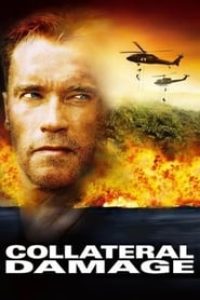 Download Collateral Damage (2002) Dual Audio (Hindi-English) 480p [360MB] || 720p [920MB] || 1080p [2.19GB]