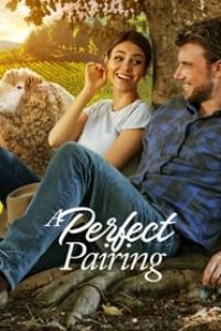 Download A Perfect Pairing (2022) Dual Audio (Hindi-English) 480p [350MB] || 720p [1GB] || 1080p [2.1GB]