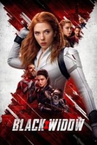 Download Black Widow (2021) Dual Audio {Hindi-English} Bluray 480p [450MB] || 720p [1.2GB] || 1080p [2.9GB]