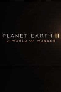 Download Planet Earth II: A World of Wonder (2017) {English} WebRip 720p [816MB] || 1080p [1.5GB]