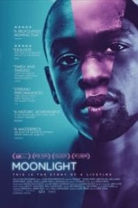 Download Moonlight (2016) {English With Subtitles} BluRay 480p [351MB] || 720p [750MB] || 1080p [1.7GB]