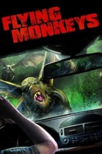 Download Flying Monkeys (2013) Dual Audio {Hindi-English} Esubs WEB-DL 480p [282MB] || 720p [824MB] || 1080p [1.8GB]