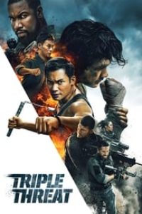 Download Triple Threat (2019) {English With Subtitles} 480p [400MB] || 720p [850MB] || 1080p [1.9GB]