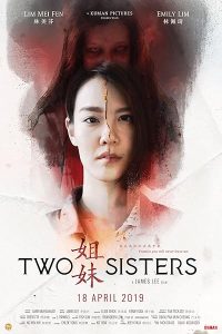 Download Two Sisters (2019) Dual Audio {Hindi-Chinese} WEB-DL 480p [310MB] || 720p [887MB]